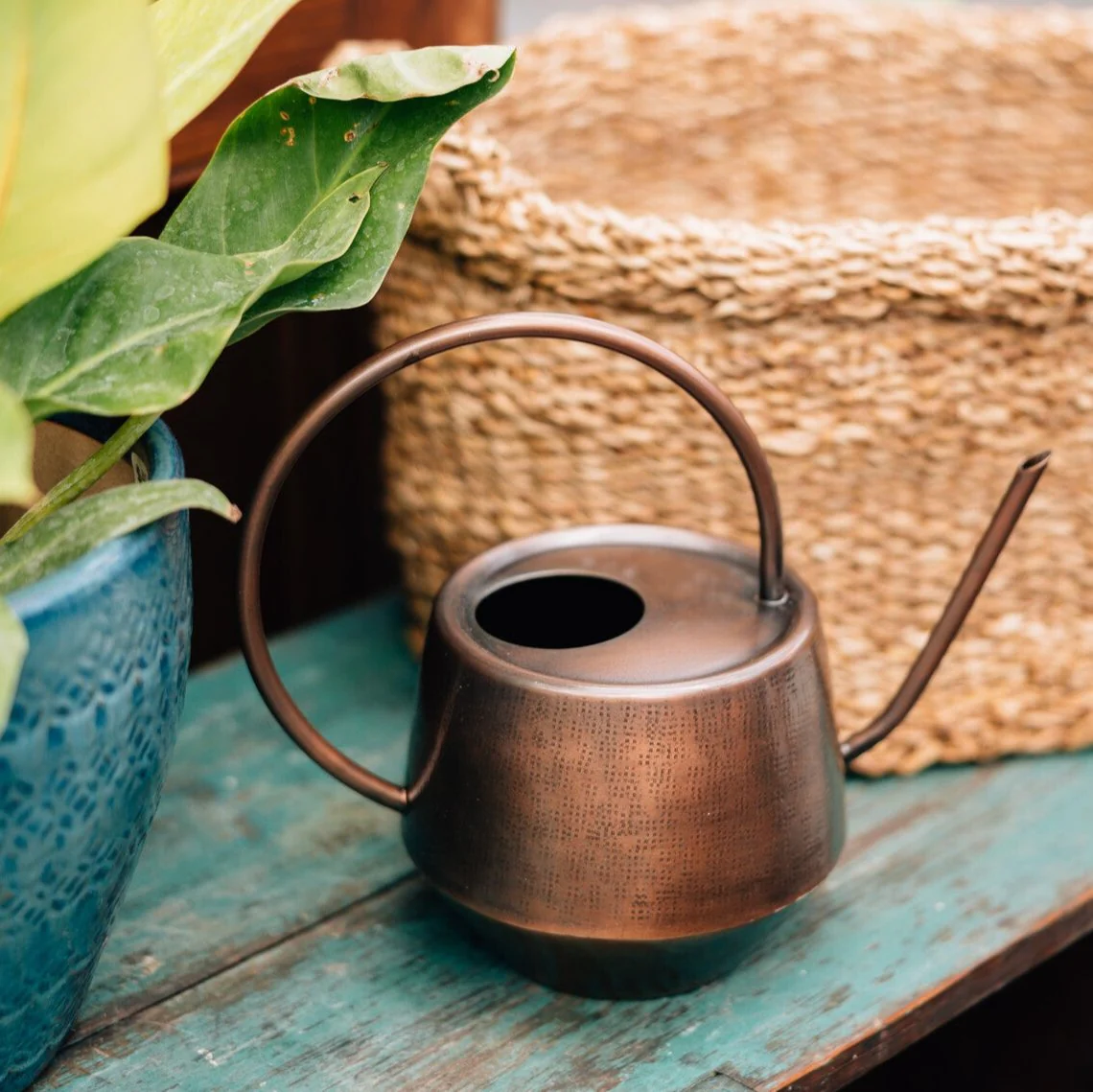 Antique Copper Watering Can - Image 3
