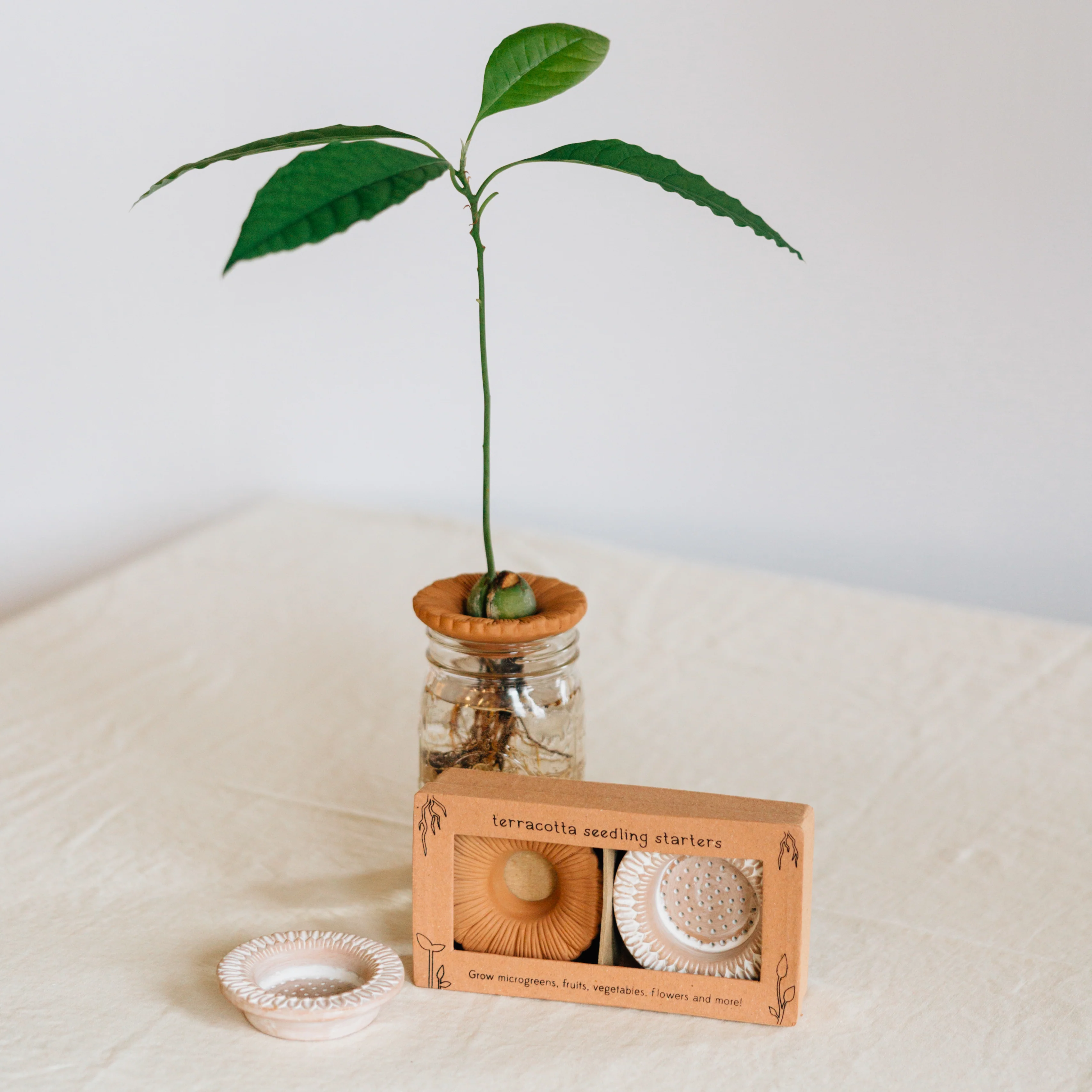 Bija Floral Seed Sprouter Set - Image 3