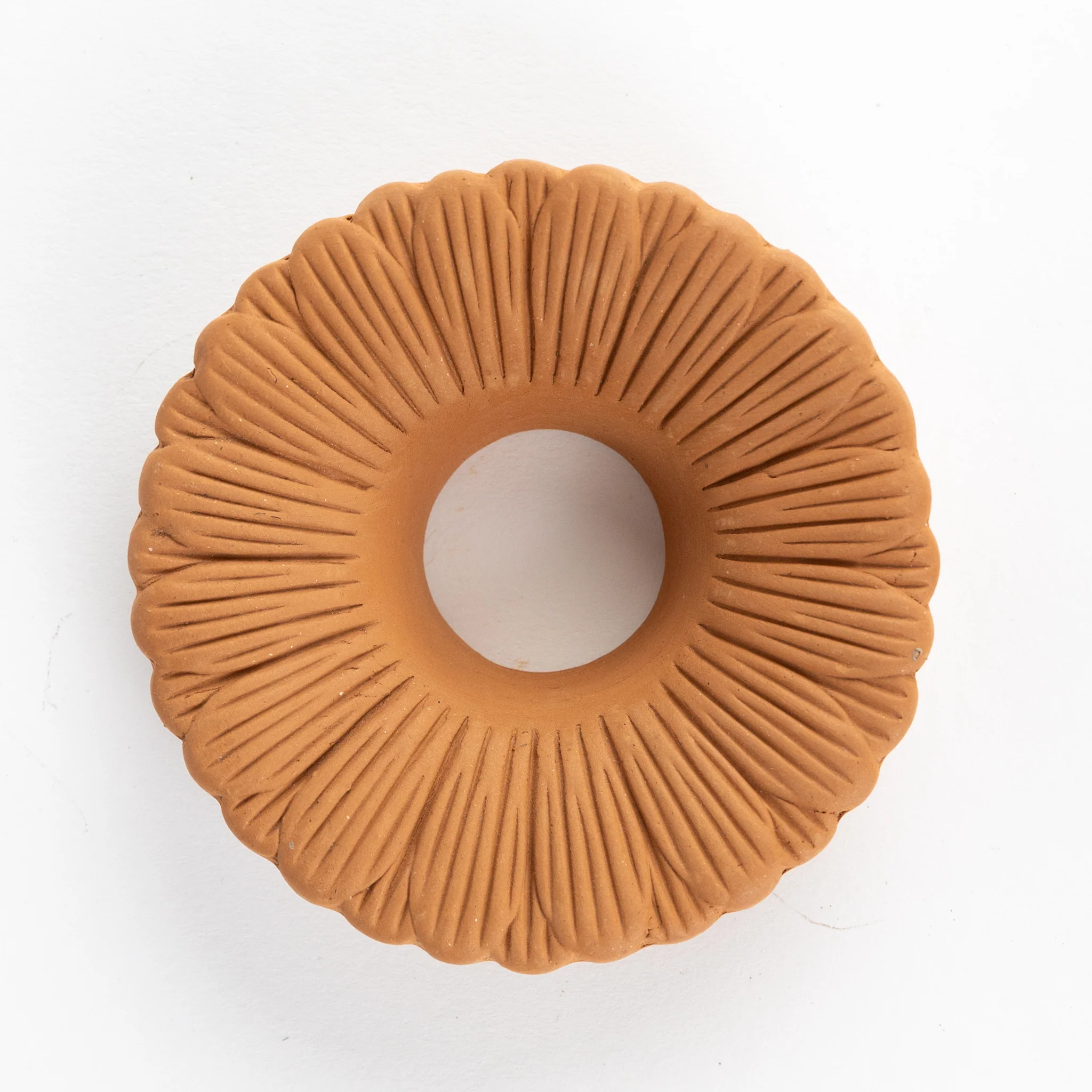 Bija Floral Seed Sprouter Set - Image 6