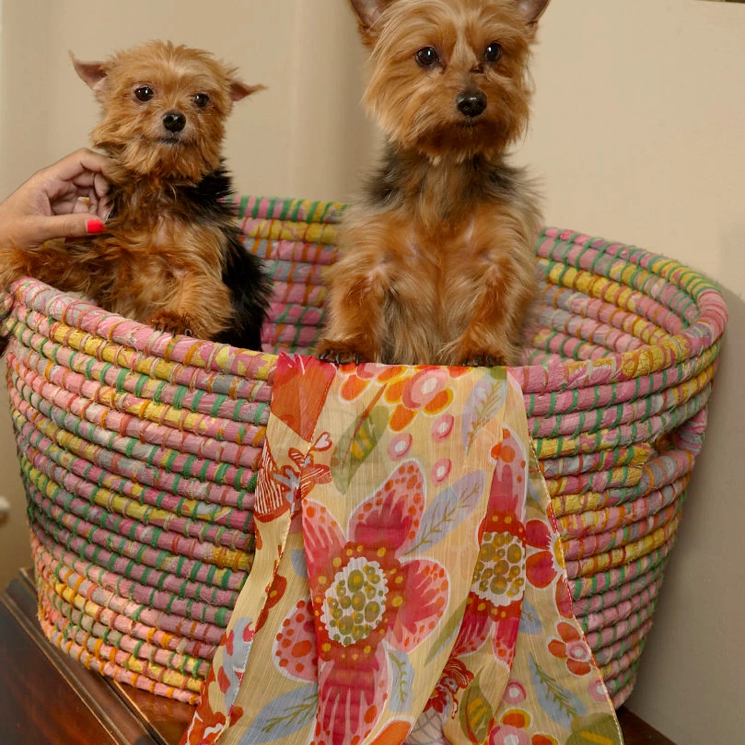 Bright Day Laundry Basket - Image 9