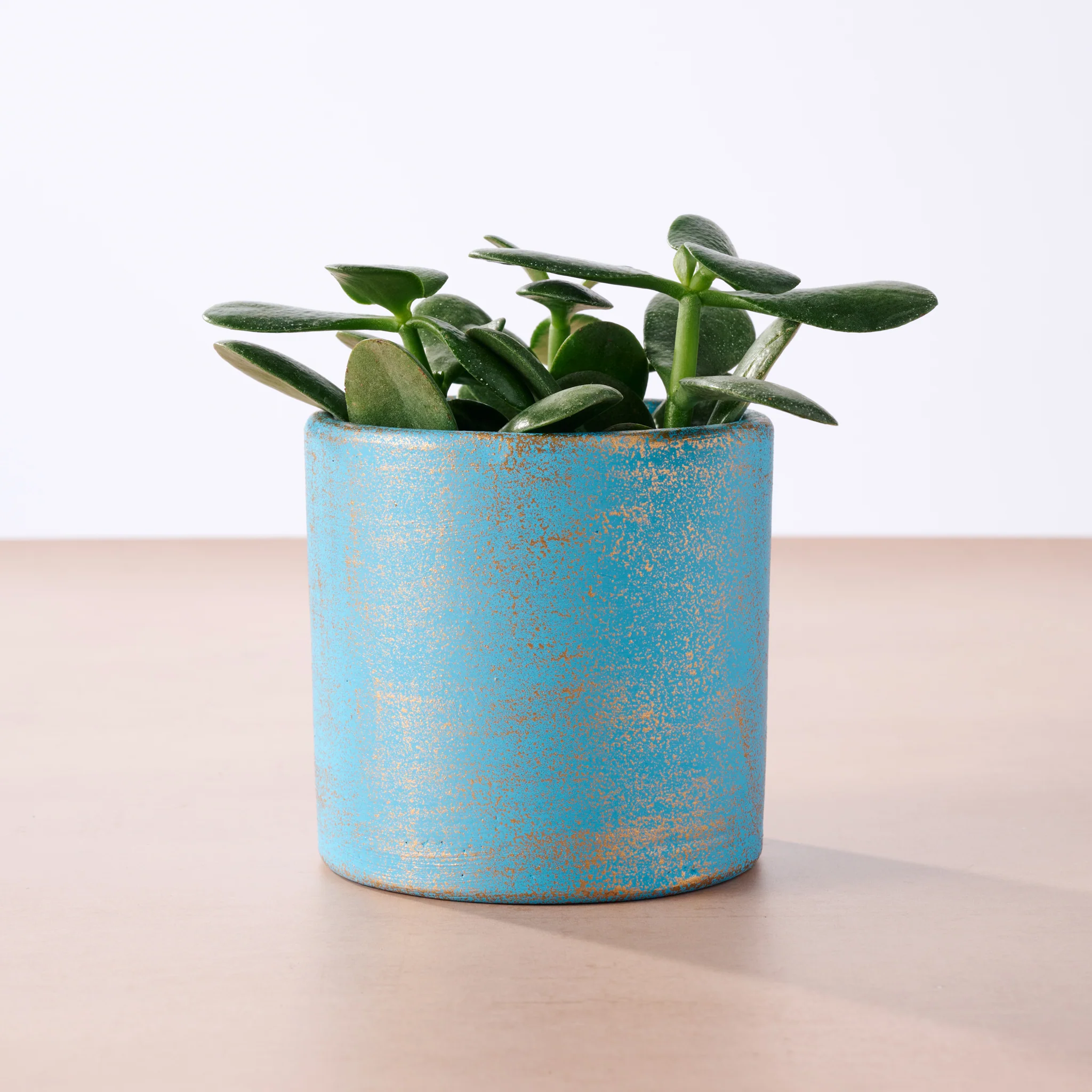 Chota Terracotta Mini Planter - Light Blue
