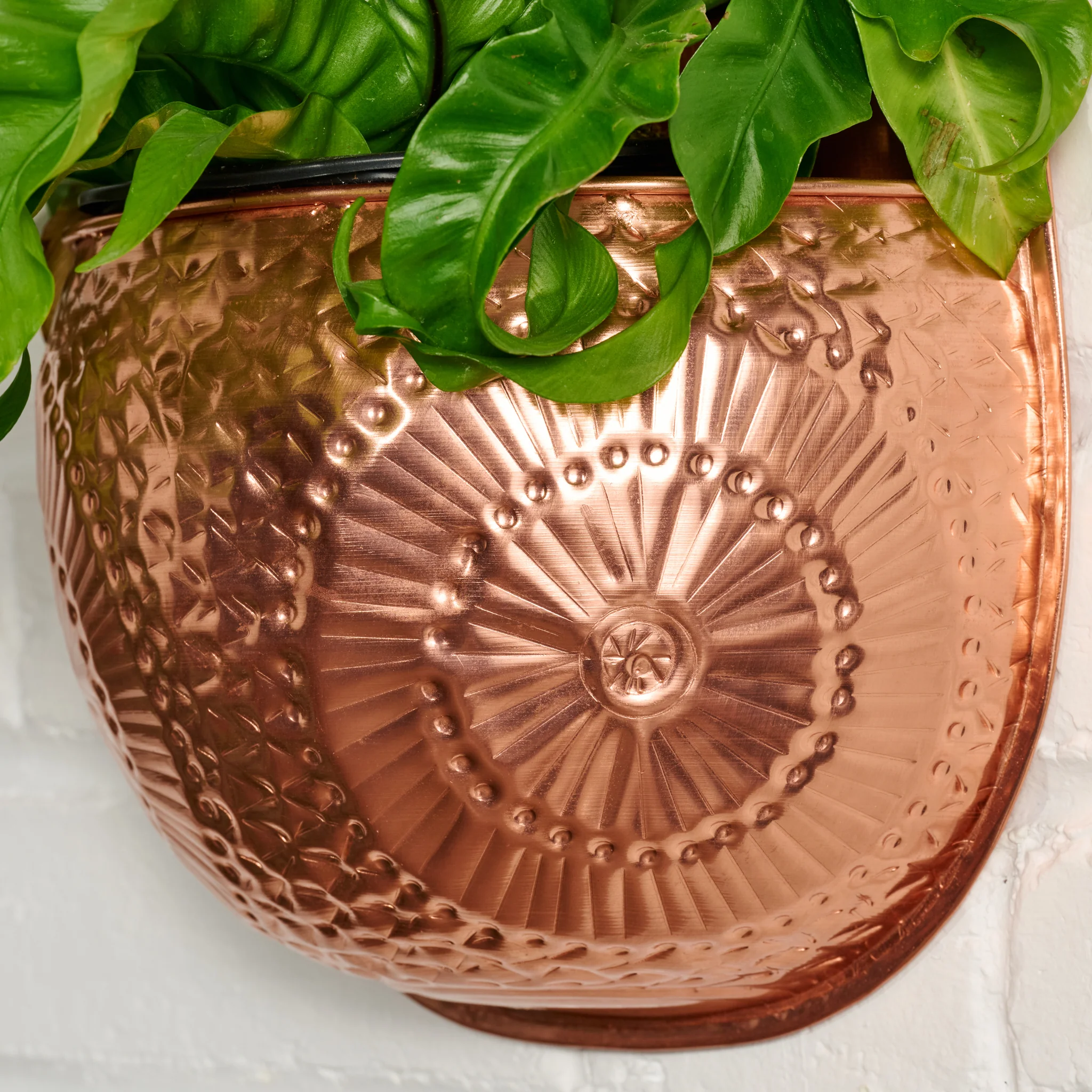 Dekhava Embossed Wall Planter - Image 3