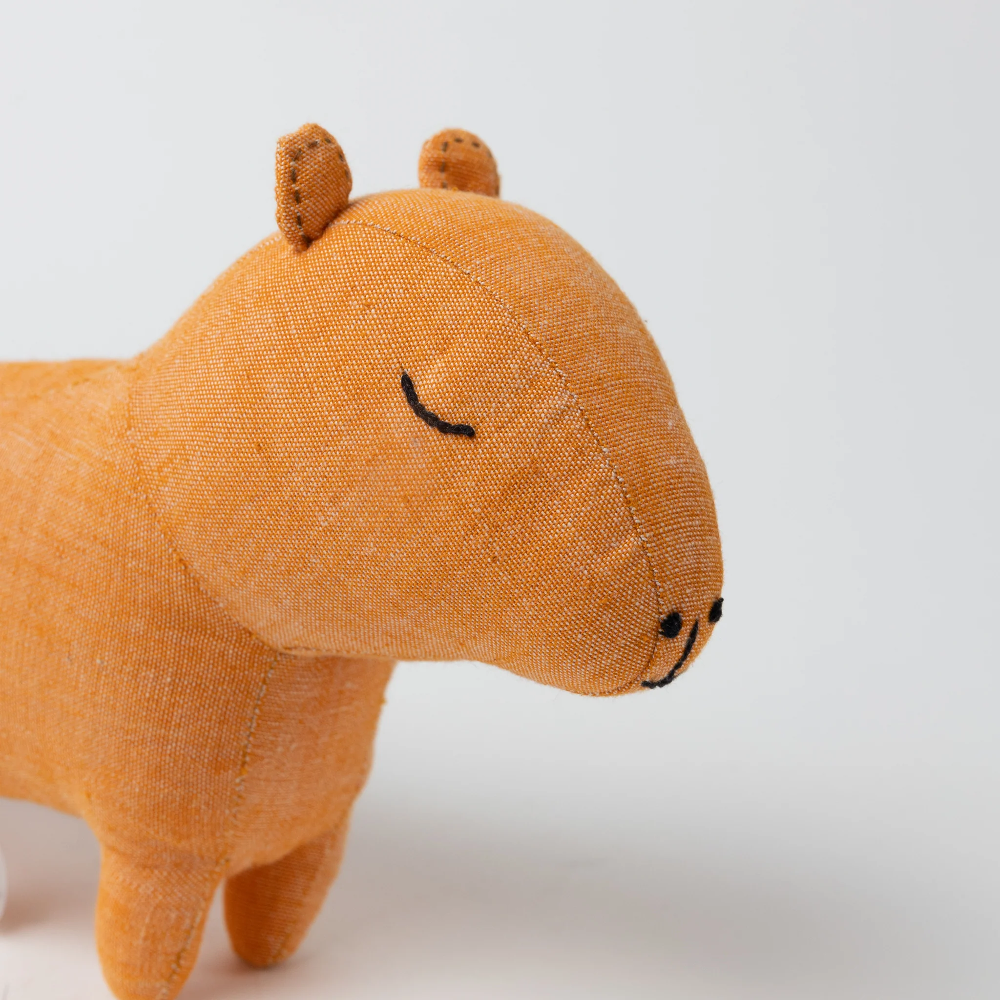 Fair Friend - Clover Capybara - Image 3