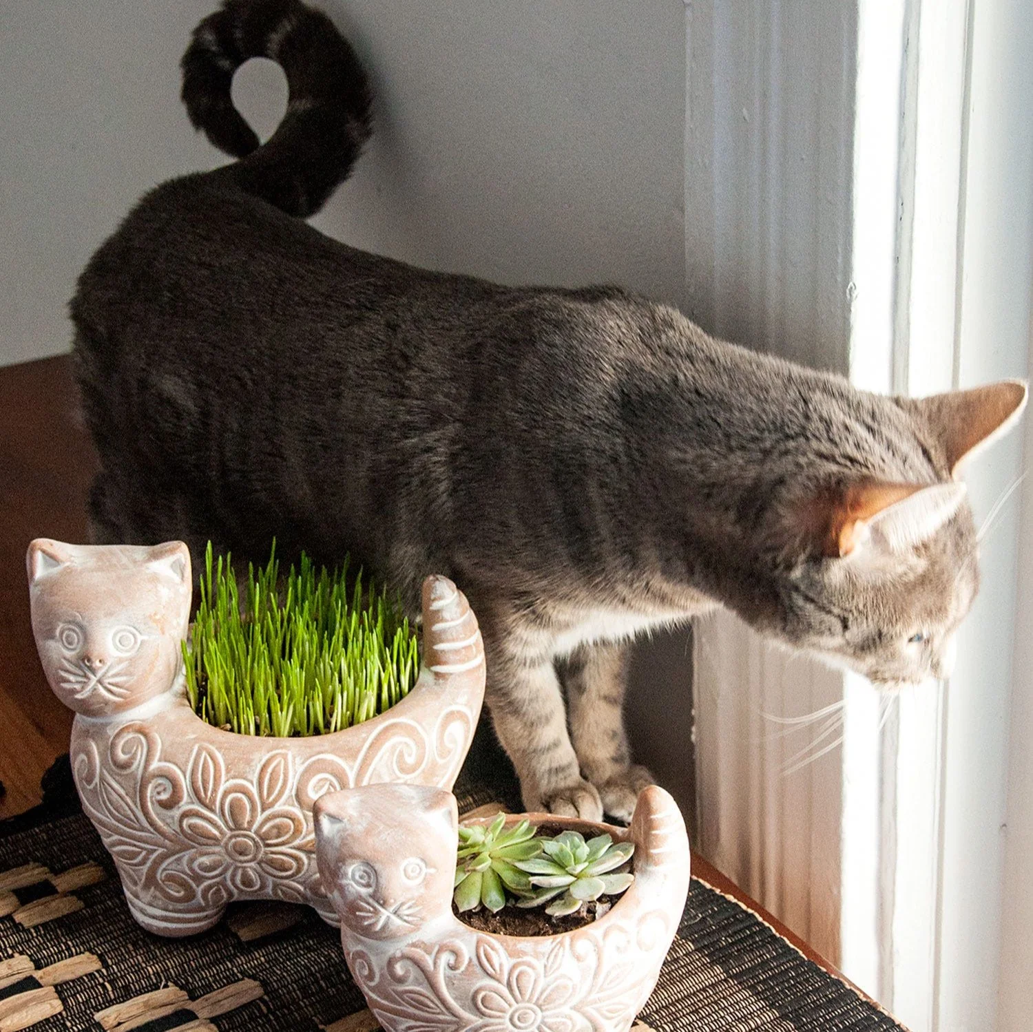 Garden Kitty Planter - Image 4