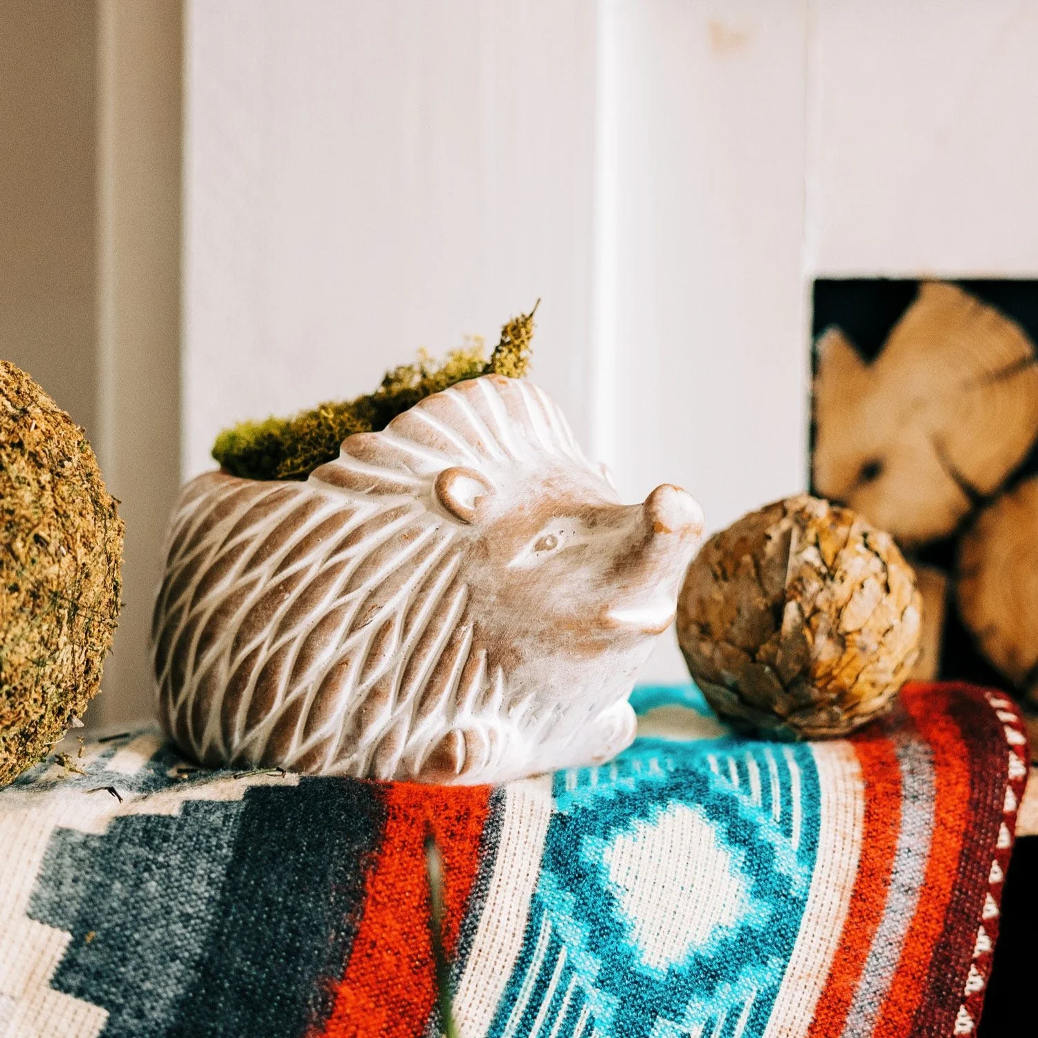 Hedgehog Planter - Image 4