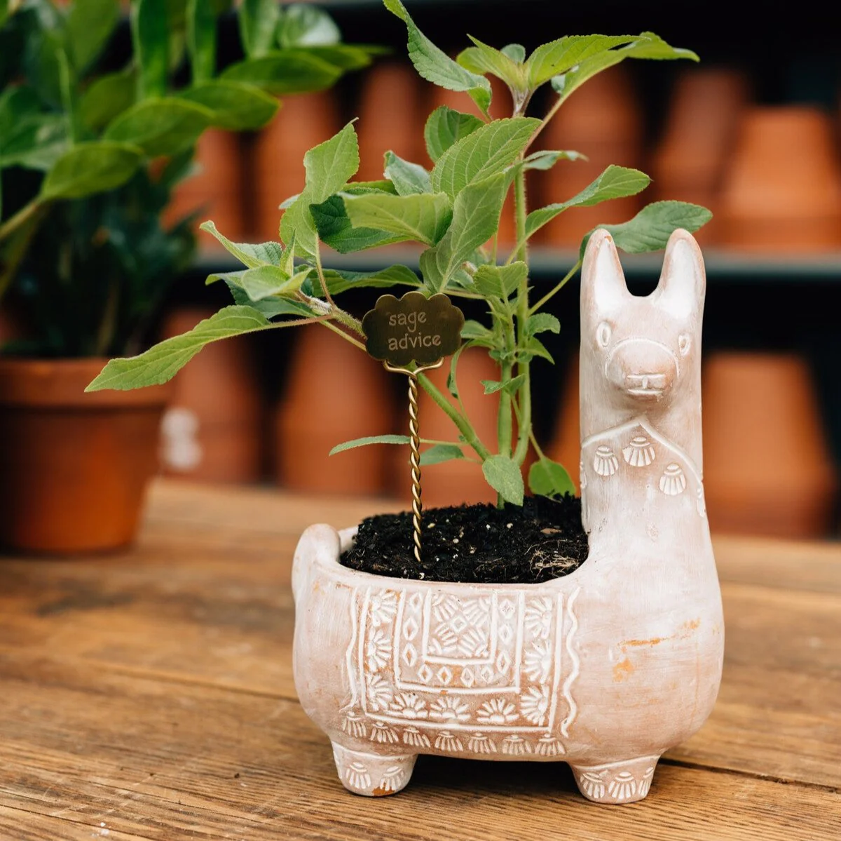 Llama Terracotta Planter - Image 3