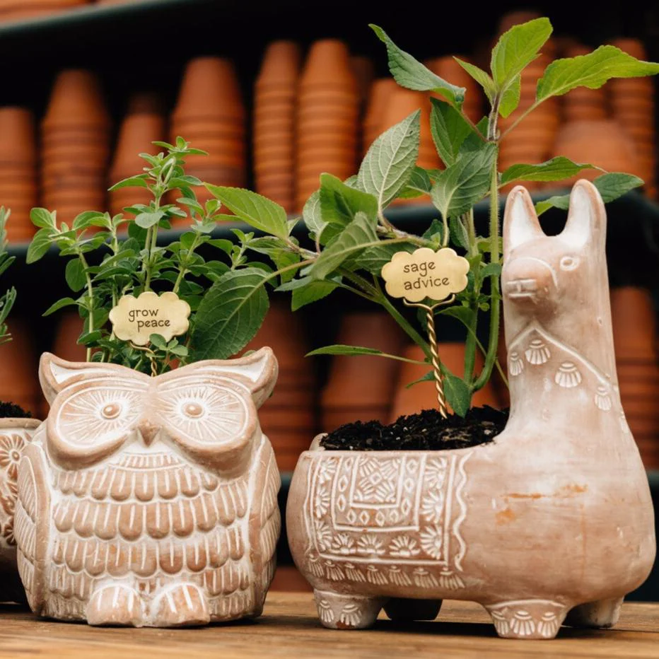 Llama Terracotta Planter - Image 5