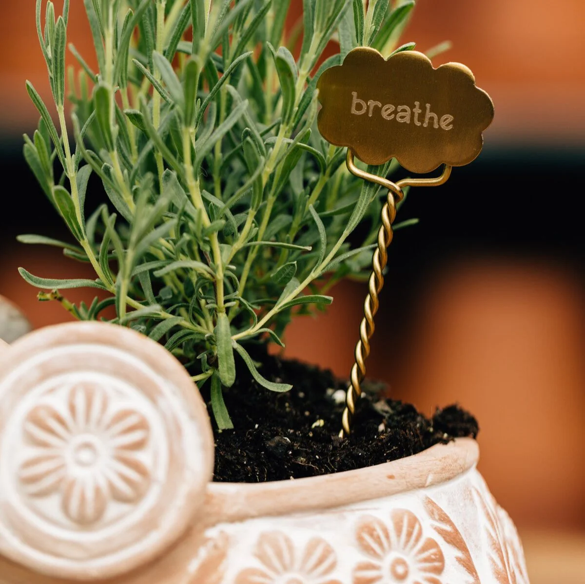 Plant Markers - Rest - Image 7