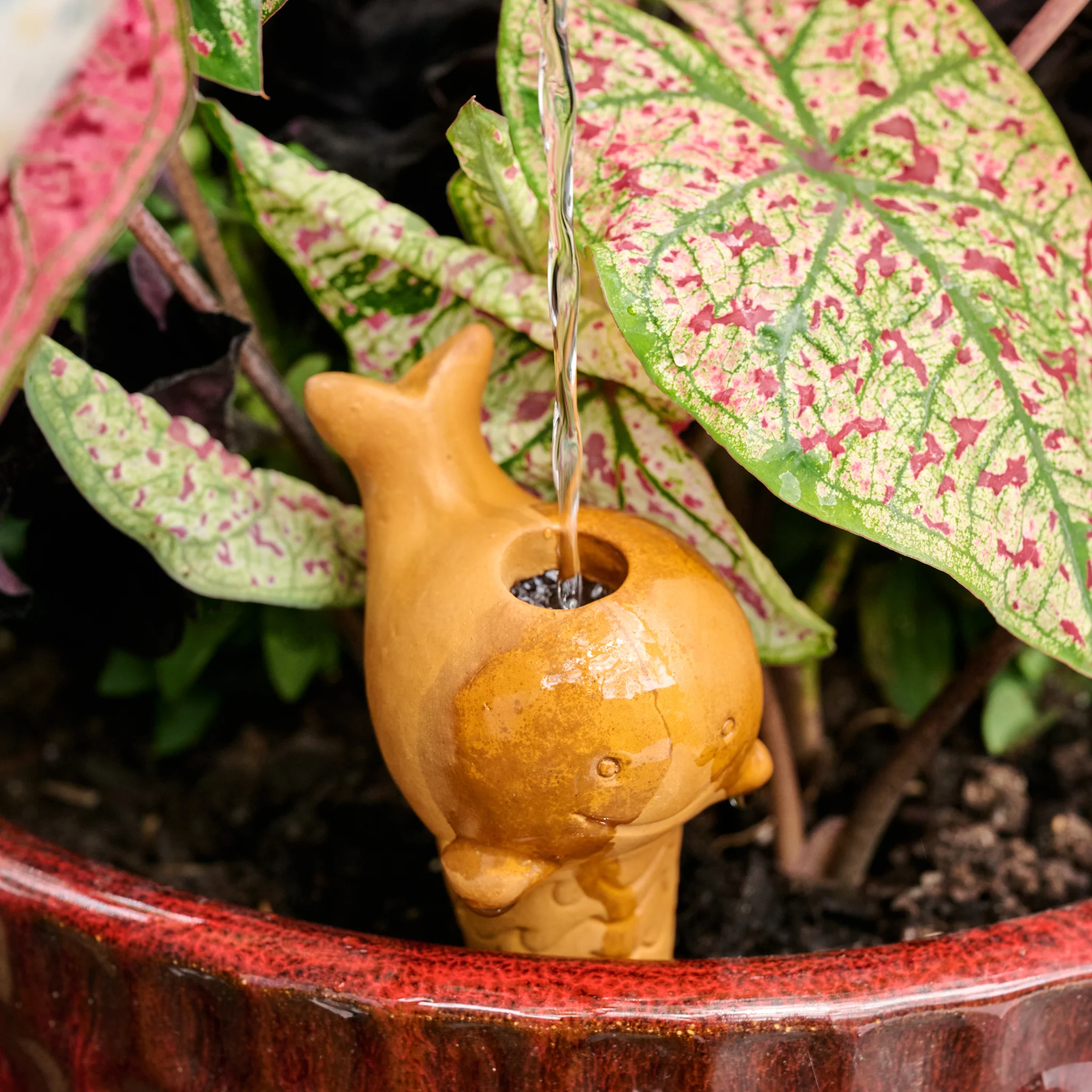 Self Watering Plant Pet - Whale - Image 3