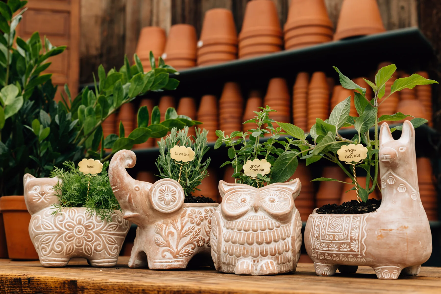 Trumpeting Elephant Planter - Image 4