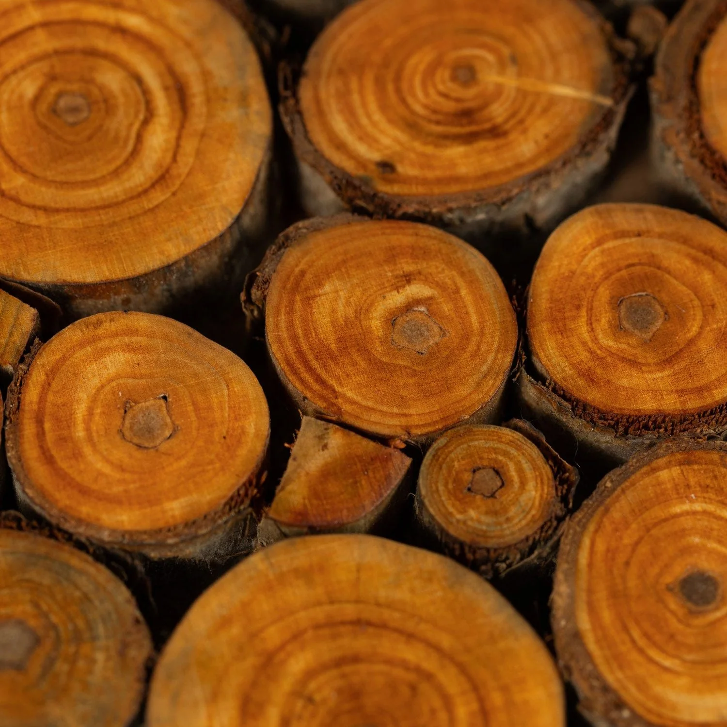 Wood Slice Trivet - Image 3